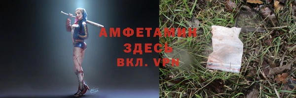 ГАЛЛЮЦИНОГЕННЫЕ ГРИБЫ Лихославль