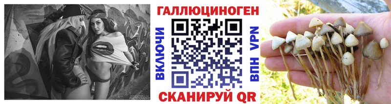 Псилоцибиновые грибы прущие грибы  купить   Староминская 