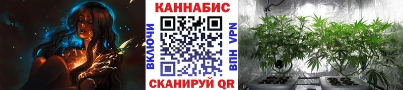 Конопля MAZAR  Староминская 
